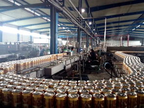 湛河區(qū)食藥監(jiān)局開展四鈴啤酒食品安全專項檢查指導